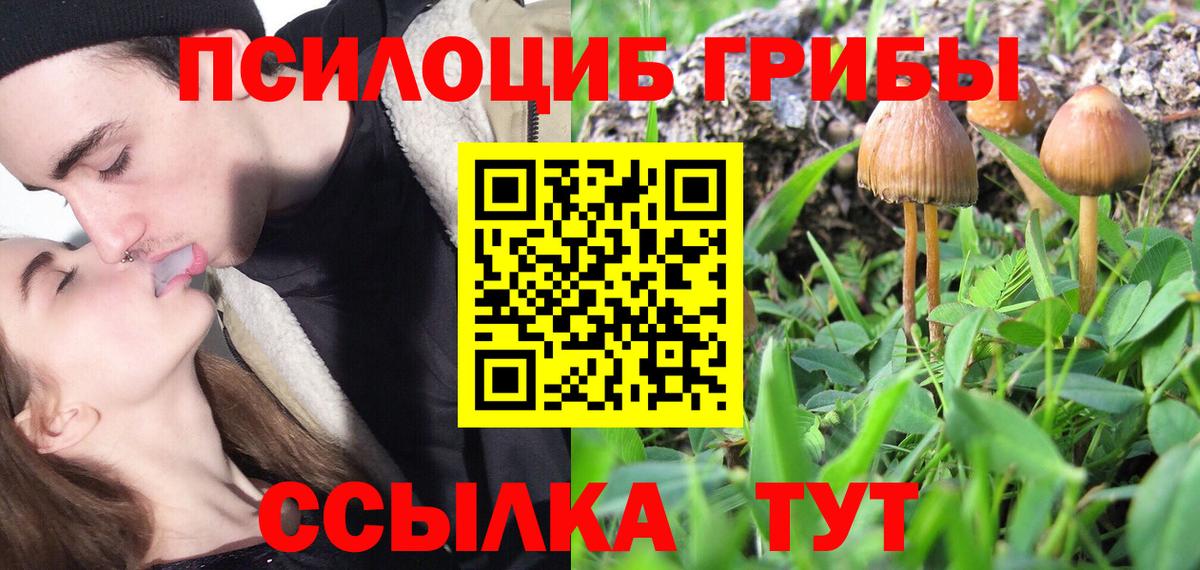 Боровичи  Псилоцибиновые грибы ЛСД  Вход с VPN 